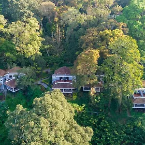 Resort The Tall Trees