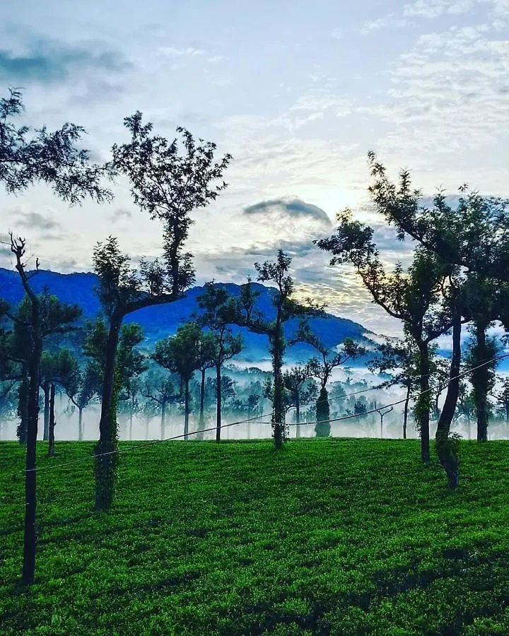 Lumino Winter Castle Hotel Munnar